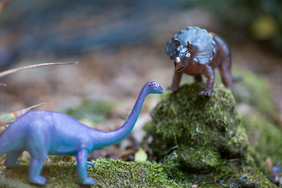 dinosaur toys in a yard